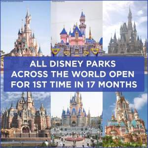 All Disney Parks Castles