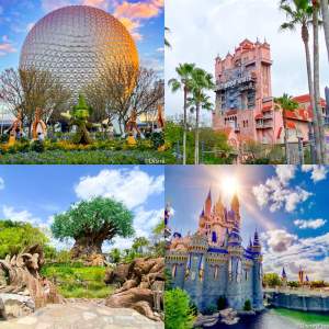 Four Disney Parks Icons