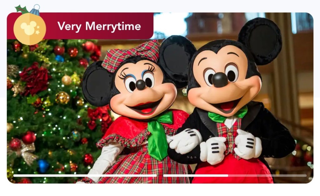 Very Merrytime Cruises