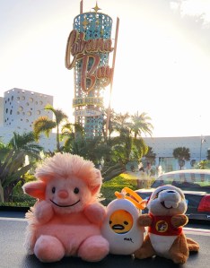 Universal Cabana Bay