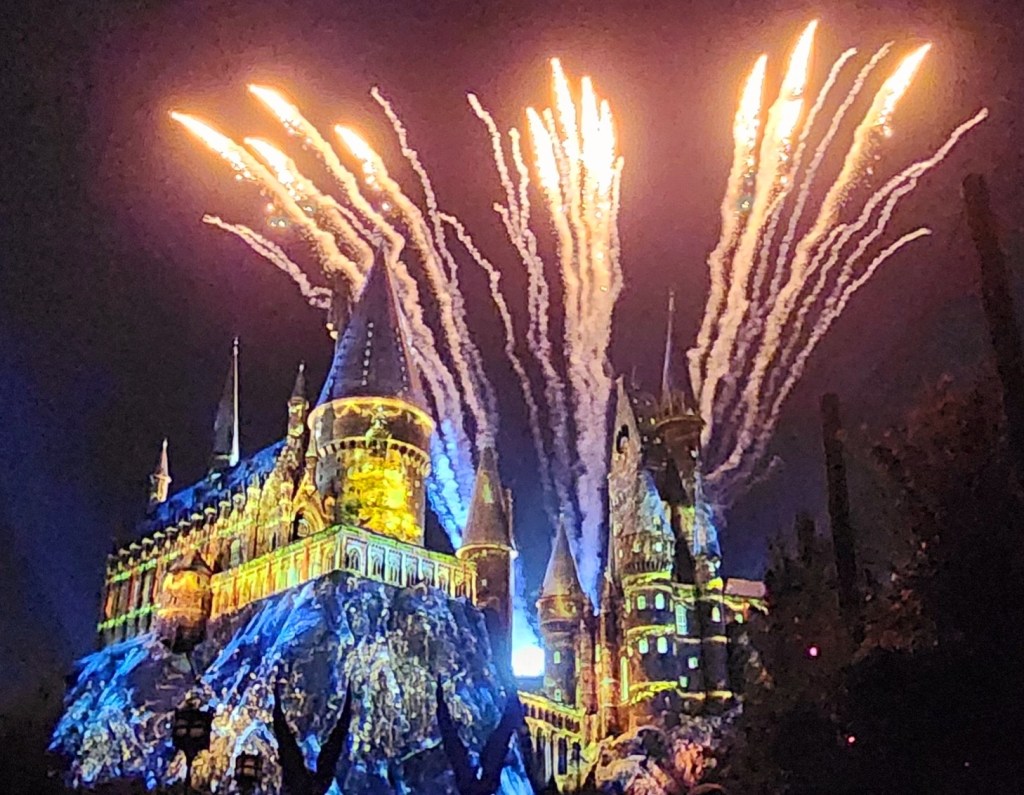 Hogwarts Castle Light Show 