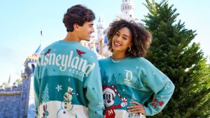 Disneyland holidays merchandise 