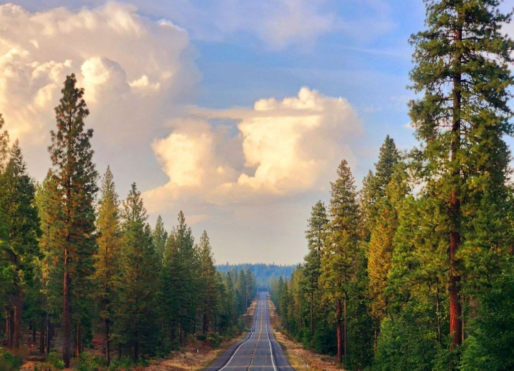 California Road Trip