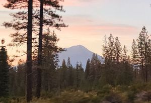 Mount Shasta