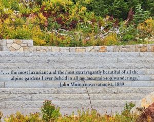 John Muir quote.