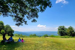 Shenandoah National Park 